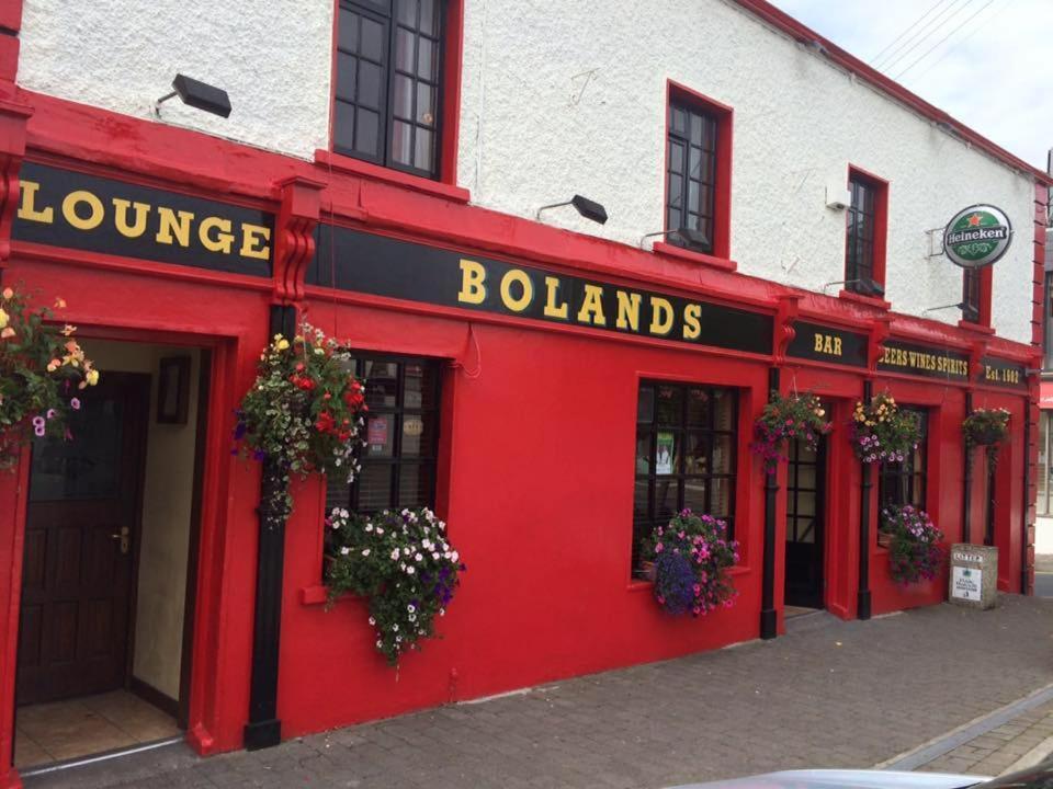 Bolands Self Catering Accommodation Hacketstown المظهر الخارجي الصورة